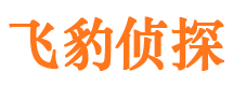 福建市侦探调查公司